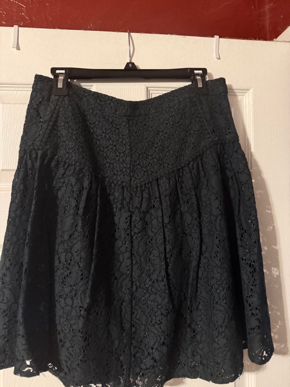 Lace A-Line Women's Skirt